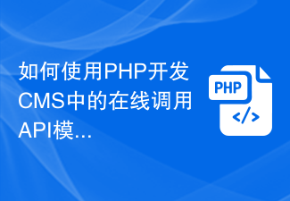 如何使用PHP开发CMS中的在线调用API模块