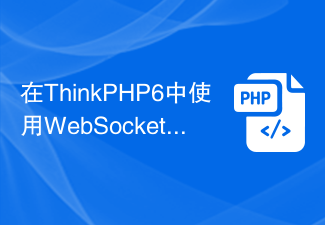 ThinkPHP6에서 WebSocket 사용하기