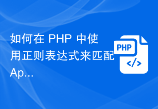 如何在 PHP 中使用正規表示式來匹配 Apache 存取日誌中的 IP 位址