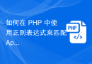 如何在 PHP 中使用正则表达式来匹配 Apache 访问日志中的 IP 地址