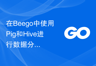 在Beego中使用Pig和Hive进行数据分析