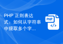 PHP 正则表达式：如何从字符串中提取多个字符重复次数