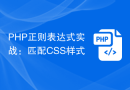 PHP正则表达式实战：匹配CSS样式