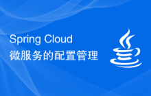 Spring Cloud微服務(wù)的配置管理