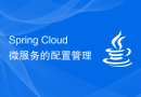Spring Cloud微服务的配置管理