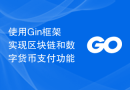 使用Gin框架实现区块链和数字货币支付功能