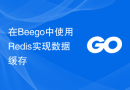 在Beego中使用Redis实现数据缓存