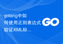 golang中如何使用正则表达式验证XML标签的属性值