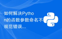 如何解决Python的函数参数命名不规范错误？