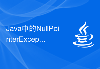 Java で NullPointerException が発生する一般的な原因は何ですか?