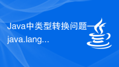 Java의 유형 변환 문제 - java.lang.NumberFormatException을 해결하는 방법은 무엇입니까?