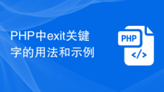 Usage and examples of exit keyword in PHP