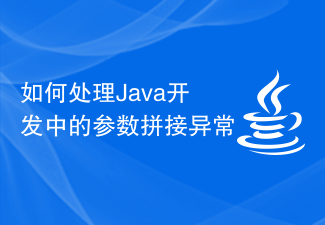 如何处理Java开发中的参数拼接异常