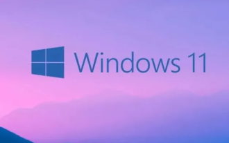 Can't exit win11 preview program