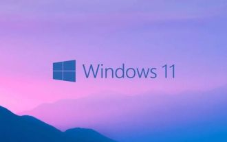 Apa yang perlu dilakukan jika ralat ntdll.dll berlaku dalam win11