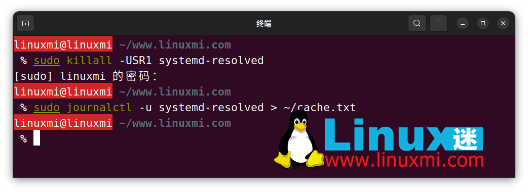 如何在 Linux 上查看和刷新 DNS 缓存