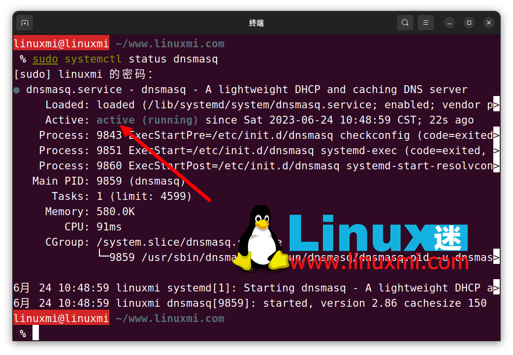 如何在 Linux 上查看和刷新 DNS 缓存