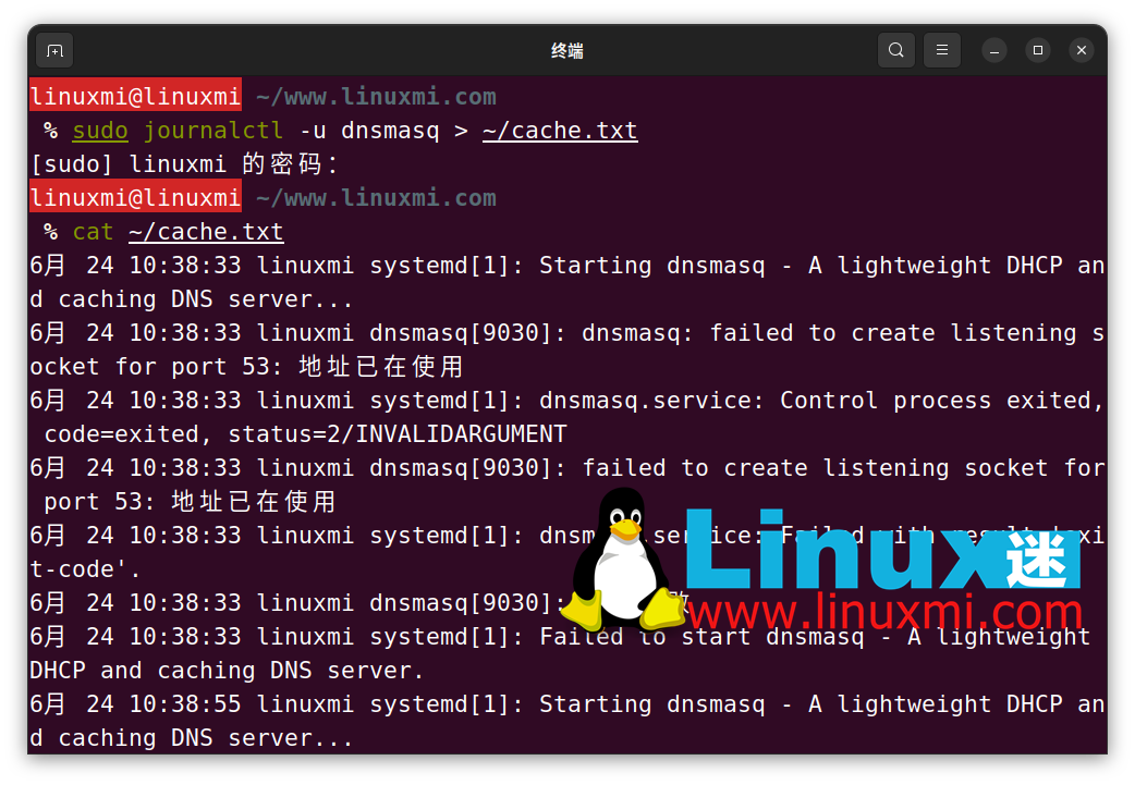 如何在 Linux 上查看和刷新 DNS 缓存