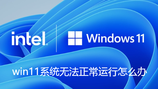 win11系统无法正常运行怎么办