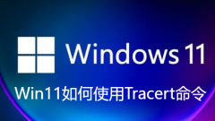 Win11에서 Tracert 명령을 사용하는 방법