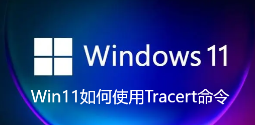 Win11에서 Tracert 명령을 사용하는 방법