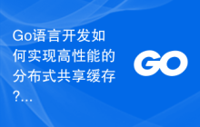 Go语言开发如何实现高性能的分布式共享缓存?