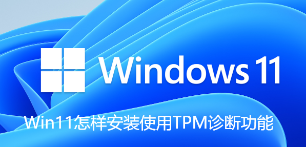 What are the steps to install and use TPM diagnostic function in Win11?