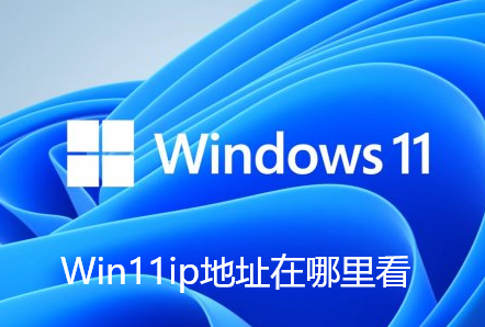 Win11ip地址在哪里看