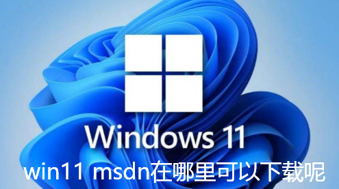 win11 msdn在哪里可以下载呢