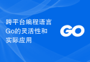 跨平台编程语言Go的灵活性和实际应用