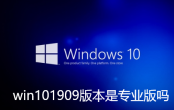 win101909版本是专业版吗