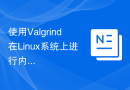 使用Valgrind在Linux系统上进行内存泄漏检测的配置方法
