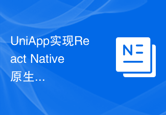 UniApp은 React Native 기본 구성 요소의 확장 및 사용을 구현합니다.