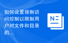 如何设置强制访问控制以限制用户对文件和目录的权限