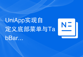 So implementieren Sie ein benutzerdefiniertes unteres Menü und eine TabBar in UniApp