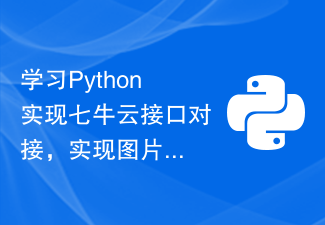 Belajar Python untuk melaksanakan dok antara muka Awan Qiniu dan sintesis penapis imej