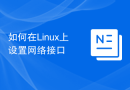 如何在Linux上设置网络接口