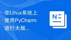Configuration method for using PyCharm for large-scale data processing on Linux systems