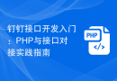 钉钉接口开发入门：PHP与接口对接实践指南