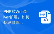 PHP和WebDriver扩展：如何处理网页的缓存和缓存清理