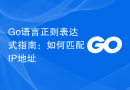 Go语言正则表达式指南：如何匹配IP地址