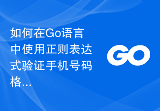 如何在Go語言中使用正規表示式驗證手機號碼格式