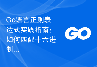 Go의 정규 표현식 실용 가이드: 16진수 색상 코드를 일치시키는 방법