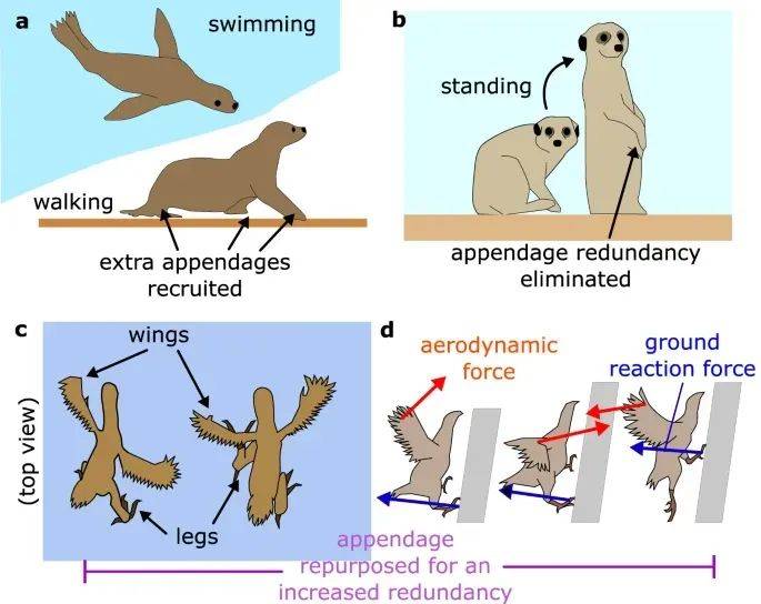 네이처 커뮤니케이션즈(Nature Communications)에 게재된 이 로봇은 트랜스포머의 현실화 가능성을 열어준다.