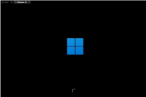Detailed tutorial on installing win11 system from USB disk