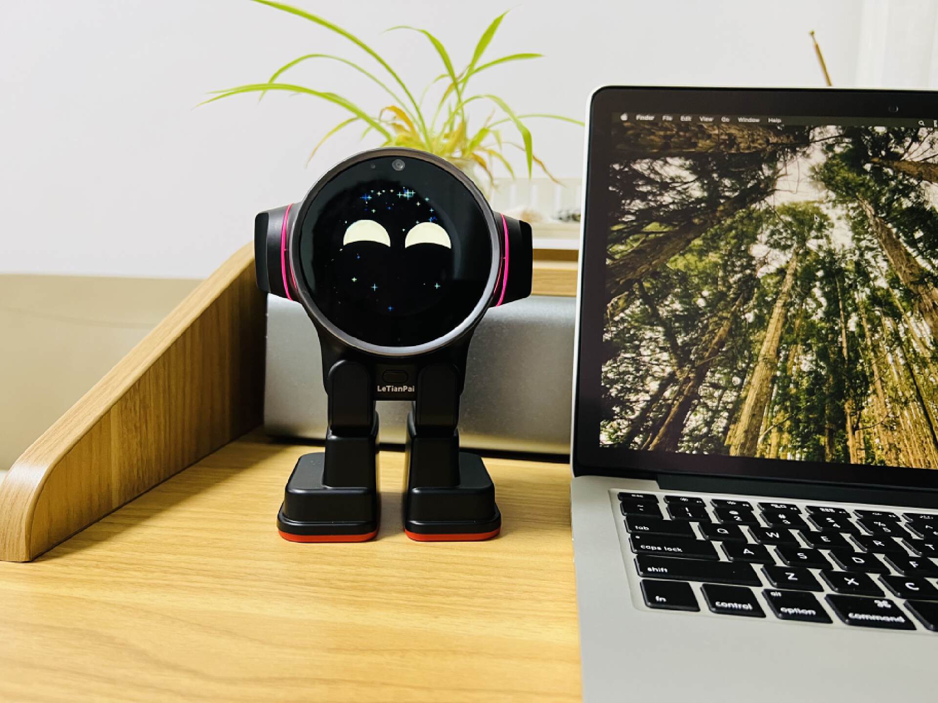 The positive energy and emotional value provided by the Optimist AI desktop robot directly fills up the body and provides a proper healing system.