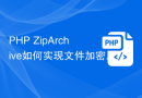 PHP ZipArchive如何实现文件加密功能？