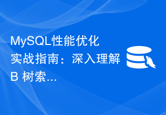 MySQL 성능 최적화 실용 가이드: B+ 트리 인덱스에 대한 심층적인 이해