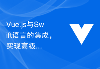 Integration of Vue.js and Swift language to achieve suggestions and technical guidance for the development and testing of advanced iOS applications