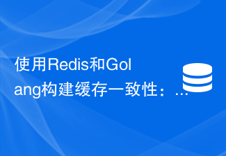 Redis 및 Golang을 사용하여 캐시 일관성 구축: 데이터 동기화를 달성하는 방법